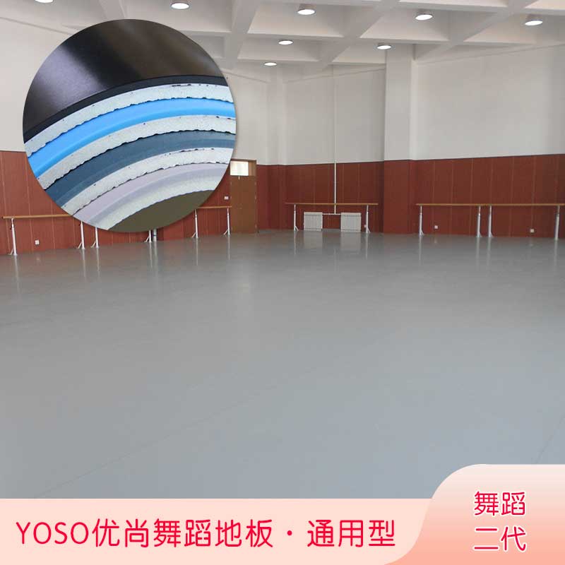 舞蹈二代·舞蹈蜜桃视频网址_舞台蜜桃视频网址
