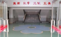 运动蜜桃视频网址安装_怎么铺