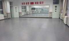 北京第一实验小学舞蹈室蜜桃视频网址