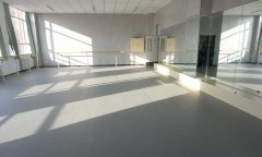 河北石家庄荔枝纹运动蜜桃视频网址