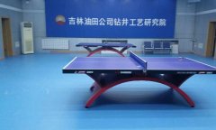 乒乓球蜜桃视频网址多少钱一平方米